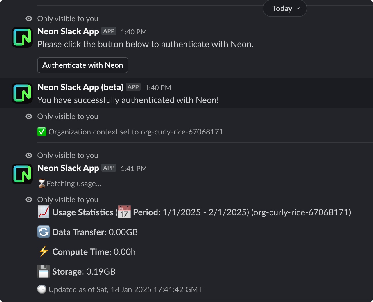 Neon Slack App showing authentication and usage commands in action